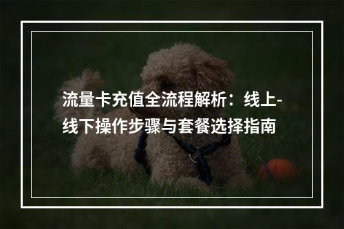 流量卡充值全流程解析：线上-线下操作步骤与套餐选择指南