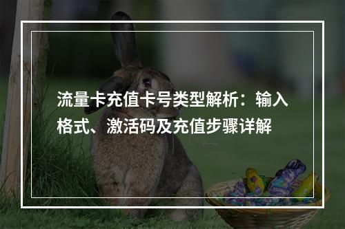 流量卡充值卡号类型解析：输入格式、激活码及充值步骤详解
