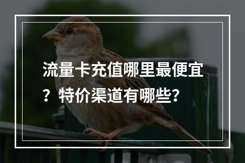 流量卡充值哪里最便宜？特价渠道有哪些？