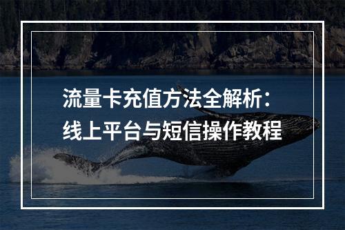 流量卡充值方法全解析：线上平台与短信操作教程