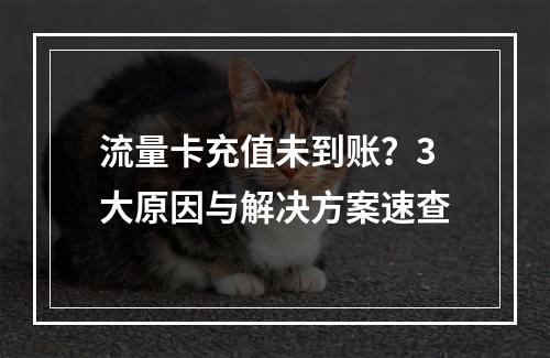 流量卡充值未到账？3大原因与解决方案速查