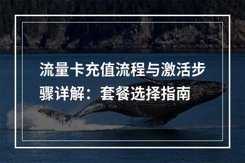 流量卡充值流程与激活步骤详解：套餐选择指南