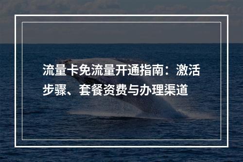 流量卡免流量开通指南：激活步骤、套餐资费与办理渠道