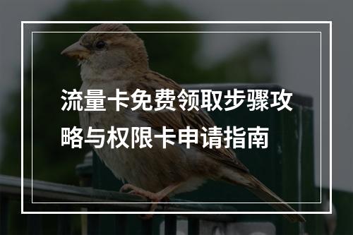 流量卡免费领取步骤攻略与权限卡申请指南