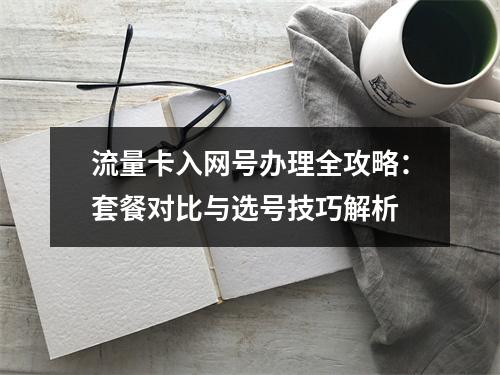 流量卡入网号办理全攻略：套餐对比与选号技巧解析
