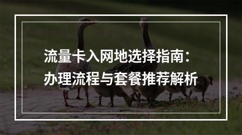 流量卡入网地选择指南：办理流程与套餐推荐解析