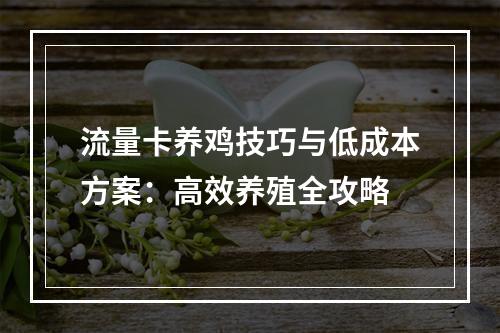 流量卡养鸡技巧与低成本方案：高效养殖全攻略