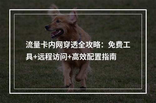 流量卡内网穿透全攻略：免费工具+远程访问+高效配置指南