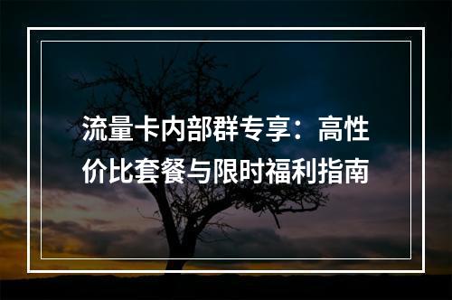 流量卡内部群专享：高性价比套餐与限时福利指南
