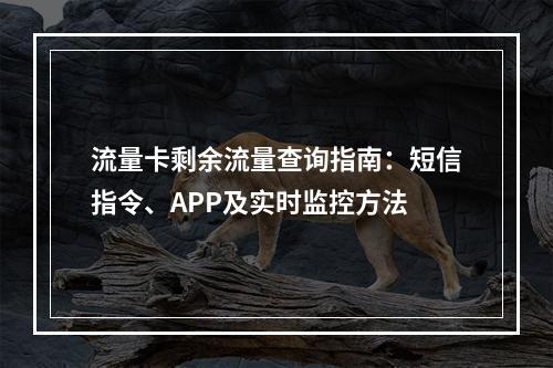 流量卡剩余流量查询指南：短信指令、APP及实时监控方法