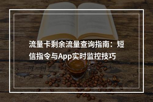 流量卡剩余流量查询指南：短信指令与App实时监控技巧