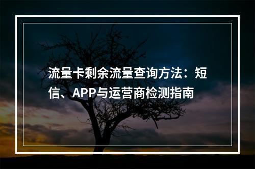 流量卡剩余流量查询方法：短信、APP与运营商检测指南