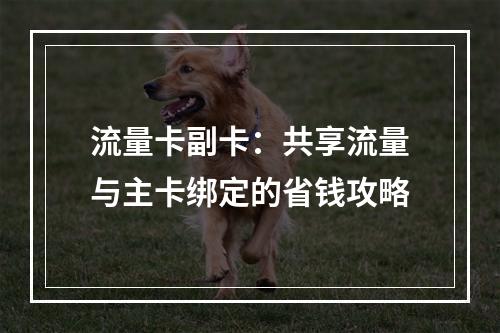 流量卡副卡：共享流量与主卡绑定的省钱攻略