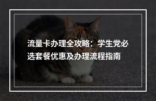 流量卡办理全攻略：学生党必选套餐优惠及办理流程指南