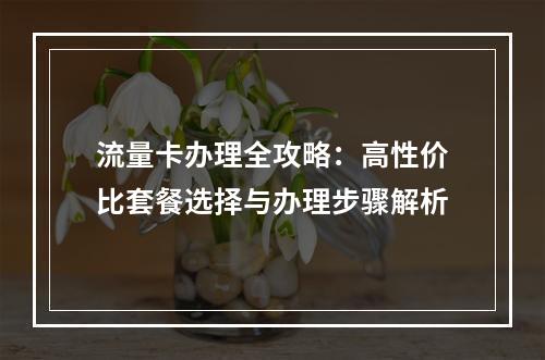 流量卡办理全攻略：高性价比套餐选择与办理步骤解析