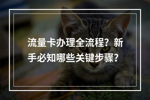 流量卡办理全流程？新手必知哪些关键步骤？