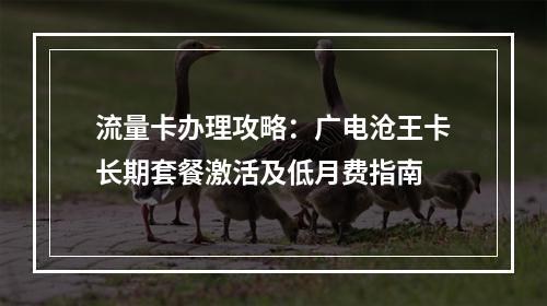 流量卡办理攻略：广电沧王卡长期套餐激活及低月费指南