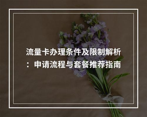 流量卡办理条件及限制解析：申请流程与套餐推荐指南