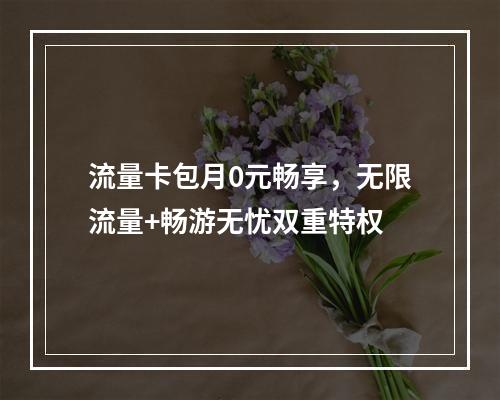 流量卡包月0元畅享，无限流量+畅游无忧双重特权