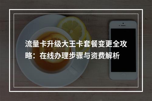 流量卡升级大王卡套餐变更全攻略：在线办理步骤与资费解析