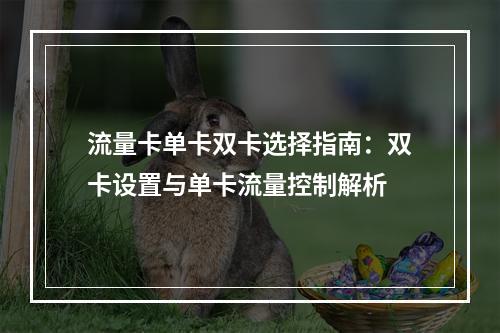 流量卡单卡双卡选择指南：双卡设置与单卡流量控制解析