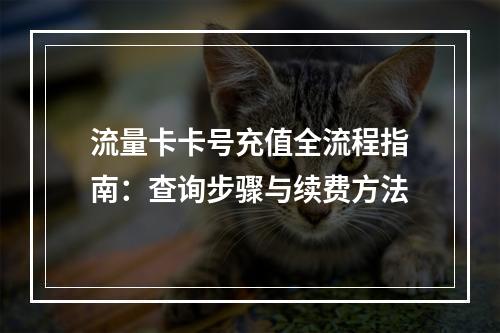 流量卡卡号充值全流程指南：查询步骤与续费方法