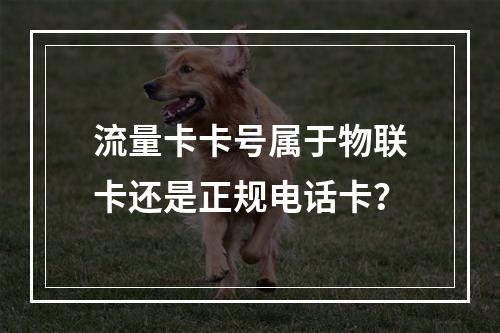 流量卡卡号属于物联卡还是正规电话卡？