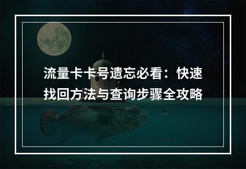 流量卡卡号遗忘必看：快速找回方法与查询步骤全攻略