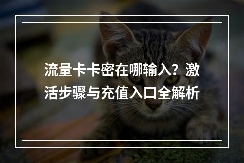 流量卡卡密在哪输入？激活步骤与充值入口全解析