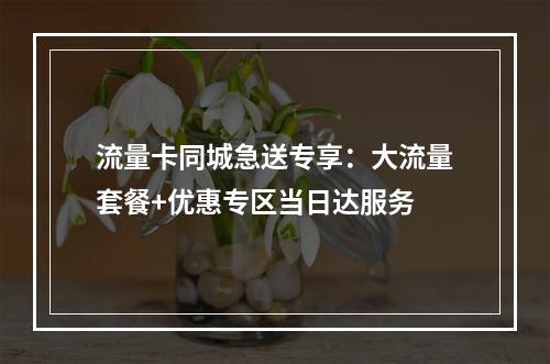 流量卡同城急送专享：大流量套餐+优惠专区当日达服务