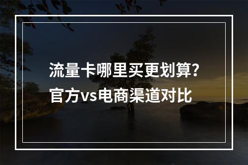 流量卡哪里买更划算？官方vs电商渠道对比