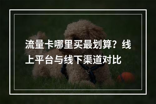 流量卡哪里买最划算？线上平台与线下渠道对比