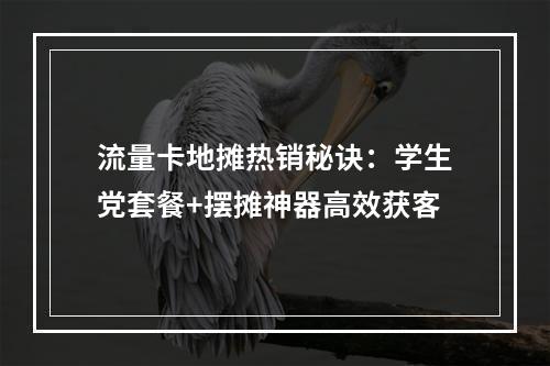 流量卡地摊热销秘诀：学生党套餐+摆摊神器高效获客