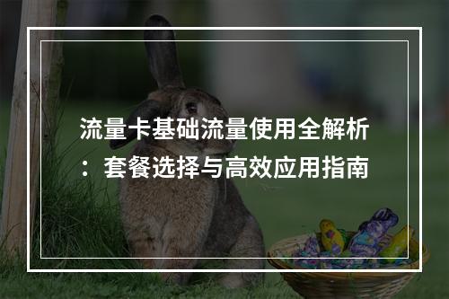流量卡基础流量使用全解析：套餐选择与高效应用指南