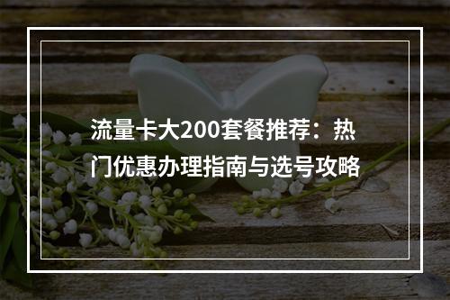 流量卡大200套餐推荐：热门优惠办理指南与选号攻略