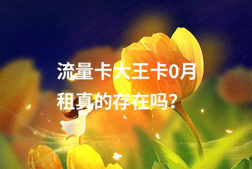 流量卡大王卡0月租真的存在吗？