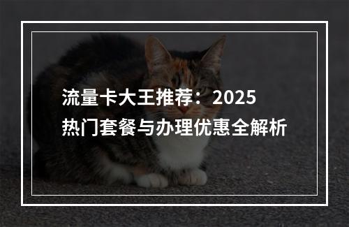 流量卡大王推荐：2025热门套餐与办理优惠全解析