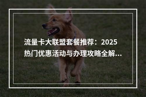 流量卡大联盟套餐推荐：2025热门优惠活动与办理攻略全解析
