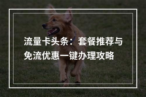 流量卡头条：套餐推荐与免流优惠一键办理攻略