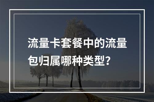 流量卡套餐中的流量包归属哪种类型？
