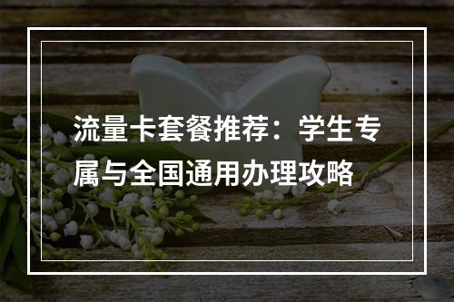 流量卡套餐推荐：学生专属与全国通用办理攻略