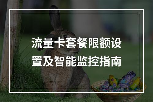 流量卡套餐限额设置及智能监控指南