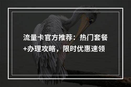 流量卡官方推荐：热门套餐+办理攻略，限时优惠速领