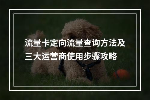 流量卡定向流量查询方法及三大运营商使用步骤攻略