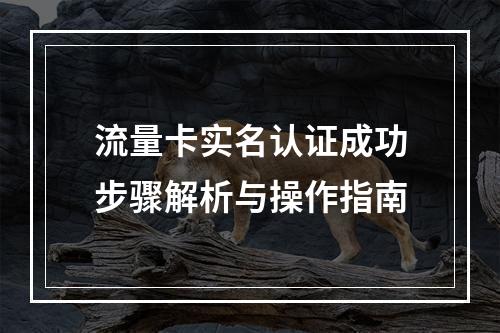 流量卡实名认证成功步骤解析与操作指南