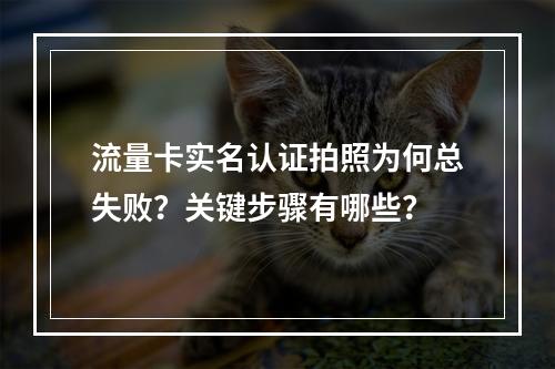 流量卡实名认证拍照为何总失败？关键步骤有哪些？