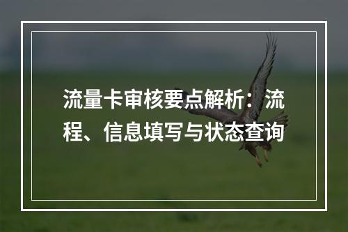 流量卡审核要点解析：流程、信息填写与状态查询
