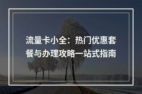 流量卡小全：热门优惠套餐与办理攻略一站式指南