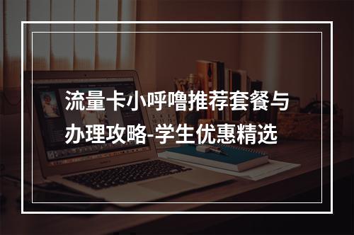 流量卡小呼噜推荐套餐与办理攻略-学生优惠精选