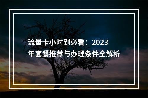 流量卡小时到必看：2023年套餐推荐与办理条件全解析